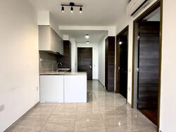 The Florence Residences (D19), Apartment #519926041